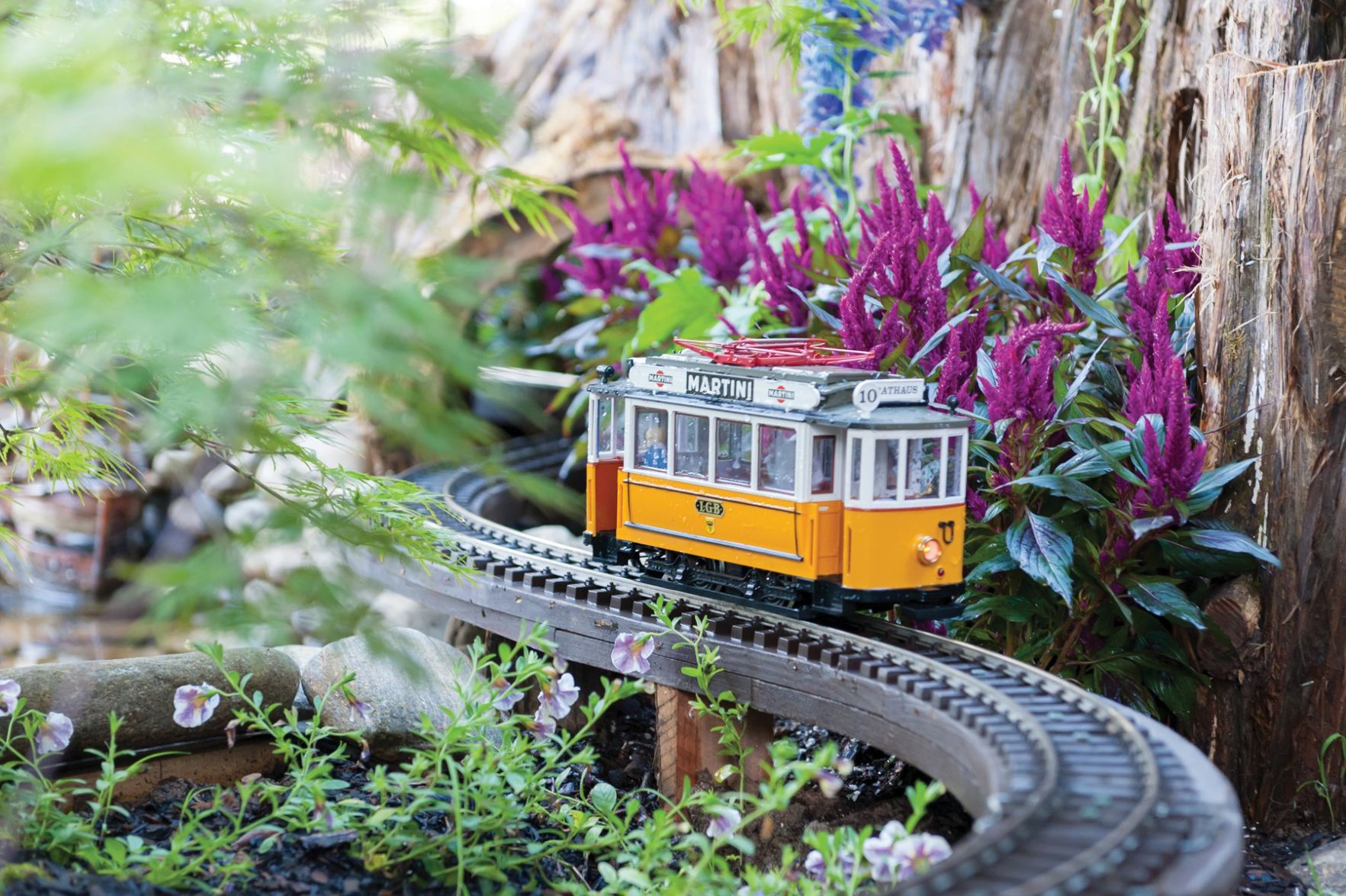 Biltmore Gardens Railway